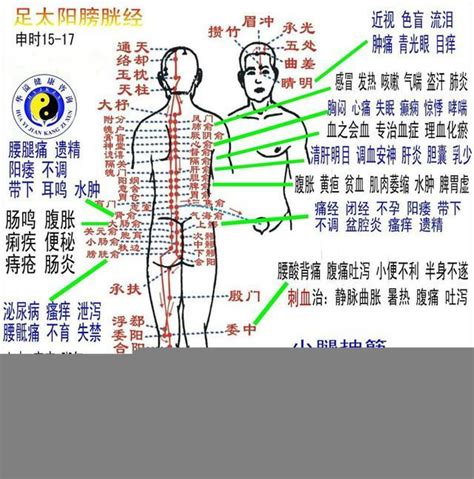 背後穴位圖|人體12個重要穴位（從上到下）